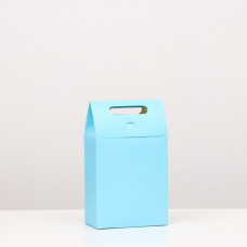 Коробка-пакет с ручкой, голубая, 27 х 16 х 9 см