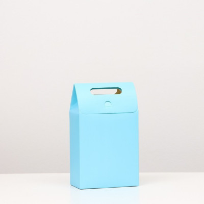 Коробка-пакет с ручкой, голубая, 27 х 16 х 9 см