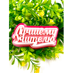 Силиконовая форма ЛУЧШЕМУ УЧИТЕЛЮ, вес 57 гр.