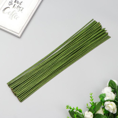 Проволока для изготовления искусственных цветов Зелёная 40 см сечение 2,5 мм 1 шт